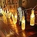 WAYNEWON LED Wine Bottles Lights, Battery Operated String Lights with Remote Control – Best Wedding Party Home Christmas Decorations (Warm White Glow)