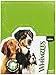 PARAGON 154103 30-Count Box Whimzees Toothbrush Star for Pets, Large
