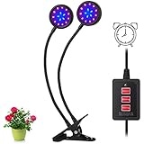 LED Grow Light, Amsuns Clip on Desk Plant Clamp Lamp with 360 Degree Adjustable Gooseneck Timer Control(3H/6H/12H) for Indoor Plants Hydroponic Garden Greenhouse (Dual Head 16W)