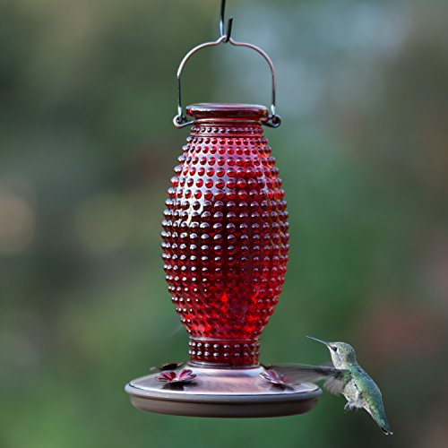 Perky-Pet Red Hobnail Vintage Glass Hummingbird Feeder 8130-2