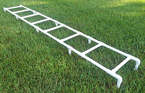 Affordable Agility Training Ladder for Dogs
