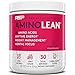 RSP AminoLean - All-in-One Pre Workout, Amino Energy, Weight Management Supplement with Amino Acids, Complete Preworkout Energy for Men & Women, Fruit Punch, 30 (Packaging May Vary) primary