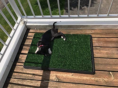 Pet Grass Pad with Tray, Artificial Turf Grass Pee Pad Potty Training for Indoor Outdoor Use, Washable Replacement Potty Mat for Dog (Green, 20''x30'')