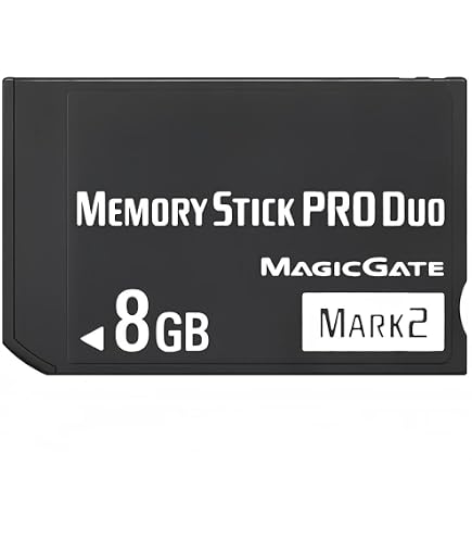 I am using an 8GB SanDisk Memory Stick Pro Duo in my Sony I am using an 8GB SanDisk Memory Stick Pro Duo in my Sony