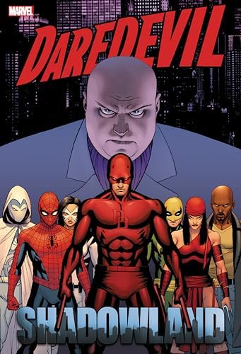 Amazon.com: Daredevil Omnibus: 9780785195368: Miller, Frank