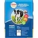 Kibbles 'N Bits Original Savory Beef & Chicken Flavors Bonus Bag Dry Dog Food, 34.1 Lb