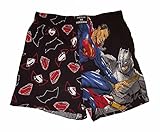 DC Comics Batman Vs Superman Boxer Shorts