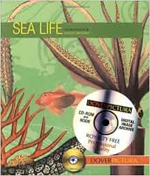 Sea Life Dover Pictura Electronic Clip Art Dover