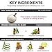 ASUTRA Dead Sea Salt Essential Oil Body Scrub Exfoliator (Invigorating Eucalyptus), 16 oz - Ultra Hydrating, Gentle, & Moisturizing - Coconut, Eucalyptus, and Marjoram Oils