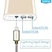 Lumsing 12000mAh Battery Pack External Portable Charger iPhone Apple Lightning Power Bank Gold