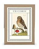 Cavallini 18-Pack Vintage Owl Bookplates