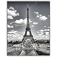 Eiffel Tower Print, Black and White Art, Eiffel Tower Wall Art, Paris Photo, France Print, Paris Art- 11x14 Poster Print