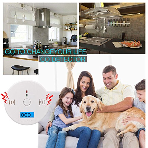 image for instecho Carbon Monoxide Gas Detection,CO Detector Alarm LCD Portable 
