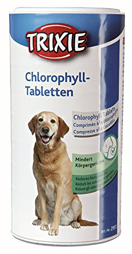 chlorophyll tablets for dogs