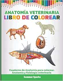Anatomia Veterinaria Libro De Colorear Cuaderno De Anatomia Para Colorear Anatomia Y Fisiologia Veterinaria Spanish Edition Sparks Summer 9798693046474 Amazon Com Books