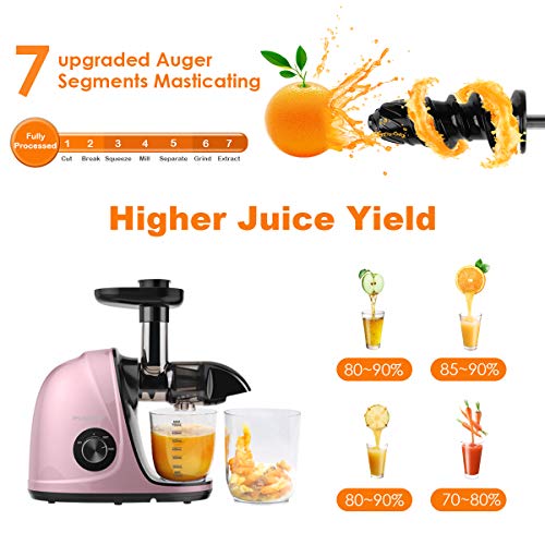 Juicer Machines, Picberm PB2110V Slow Masticating Juicer Extractor with Quiet Motor Easy to Clean, BPA-Free Cold Press Anti-clogging Juicer with Peeler, Brush & Recipes for Fruits and Vegetables, Rose Gold