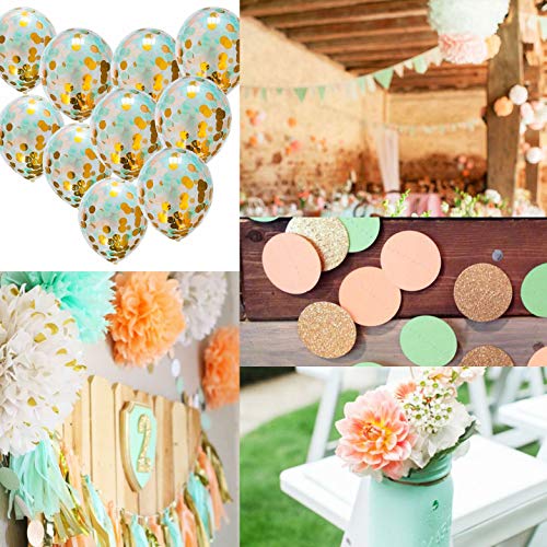 Qian S Party Mint Peach Wild One Birthday Party Decorations