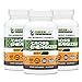 Pre Workout Pills, Energy Supplement, Helps Sustain Focus, Works with a Nitric Oxide Booster, All Natural Weight Loss Pills, Helps Fight Fatigue & Increase Muscular Endurance (Veggie Capsules)