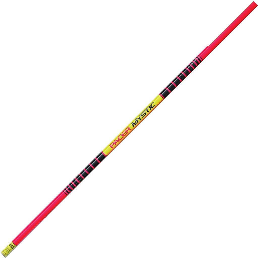 pole vault stick