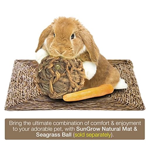 SunGrow Natural Seagrass Mat Safe & Edible for, Hamsters, Rabbits