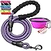 Ladoogo Heavy Duty Dog Leash - Comfortable Padded Handle, 5 ft Long - Dog Leashes for Medium Large Dogs with A Free Collapsible Pet Bowl (Purple)