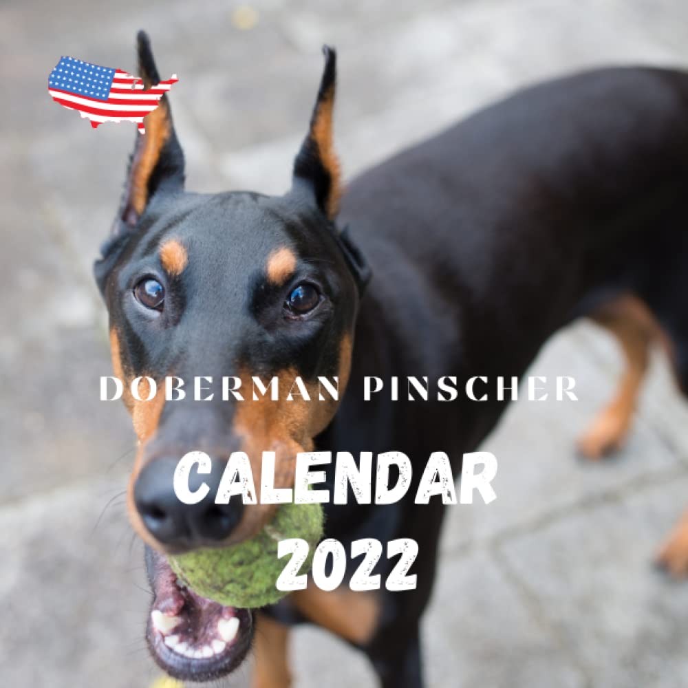 doberman supplies
