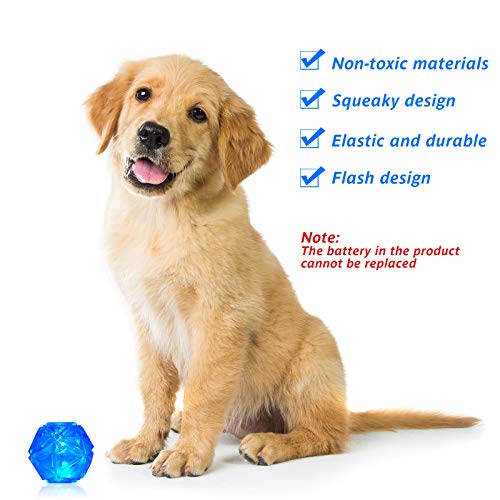 bouncing ball for dogs