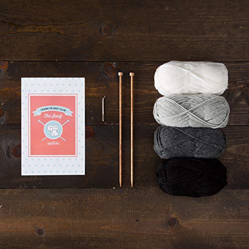 1 Knit+Picks+Learn+Club+Beginner