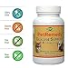 RHP Pet Blood Sugar Support. All-Natural Supplement maintains Healthy Glucose Levels in Diabetic Cats and Dogs. (180 Capsules, 90 Days Supply)