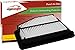 EPAuto GP213 (17220-R1A-A01) Replacement for Honda/Acura Extra Guard Panel Engine Air Filter for Civic (2012-2015), ILX Base 2.0L (2013-2015) primary