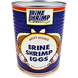 Premium Grade Brine Shrimp Eggs ( 90%), 16 oz.