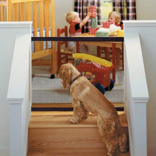 magic fence for dogs