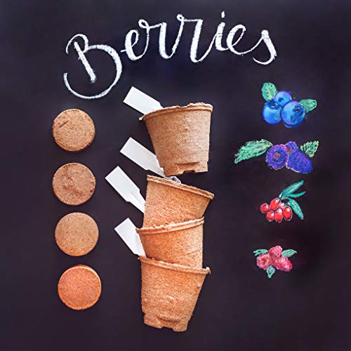 5 Natures+Blossom+Fruit+Growing+Beginners