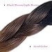 MSHAIR Ombre Jumbo Braiding Hair Extension Synthetic Kanekalon Fiber for Twist Braiding Hair Black/Dark Brown/Light Brown Color 24 Inch 5 Pieces/lot