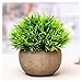 Leyaron Mini Plastic Fake Green Grass Small Artificial Potted Plants for Home Decor and Office