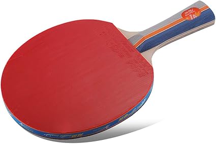 double fish ping pong paddle