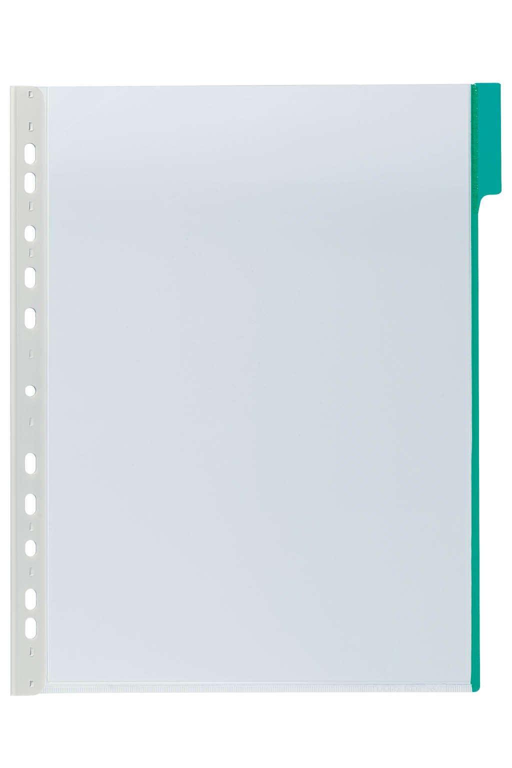 Durable 560705 Universal Punching Function Display Panel with Green Rider (Pack of 5)