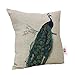 Amybria Nunubee Peacock Linen Blend Throw Pillow Case Home Decor Cushion Cover Type A