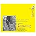 Strathmore 300 Series Drawing Paper Pad, Glue Bound, 14x17 inches, 50 Sheets (70lb/114g) - Artist Paper for Adults and Students - Charcoal, Colored Pencil, Ink, Pastel, Marker