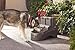 PetSafe Drinkwell Indoor/Outdoor Dog Fountain, Pet Drinking Fountain for Dogs and Cats, 450 oz. Water Capacity
