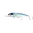 Nomad Design Standard DTX Minnow 200 with Patented Autotune System - Distressed Baitfish Swimming Action, BKK Diablo 5X Singles 11/0 Hooks, 200 SNK 8, 40ft