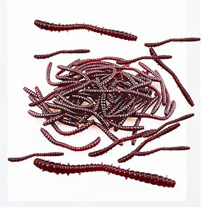 Senven Ver Terre Artificiel, Biomimetic Soft Silicone Ver Terre Appâts Ver La Pêche Leurres Simulation Vers Rouges En Plastique Vert Environnement Fort Tentation Appât Faux – Red Worm 150pcs