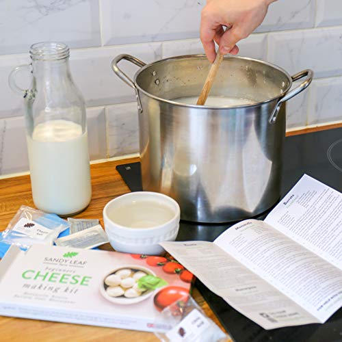 5 Beginners+Cheese+Making+Kit+Mozzarella