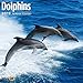 2020 Dolphins Calendar 12 x 12 Wall Calendar by Bright Day Calendars (Under The Sea Wall Calendar) (Dolphins 2019)