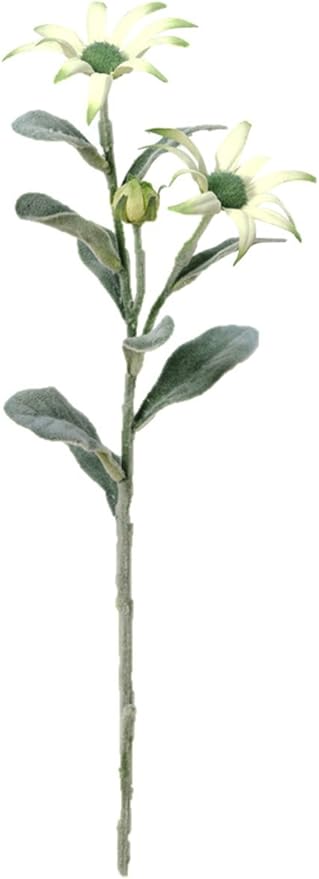 Amazon Asca 造花 エーデルワイスx2 つぼみx1 全長52cm 花径7cm ホワイトグリーン A 052 造花 オンライン通販