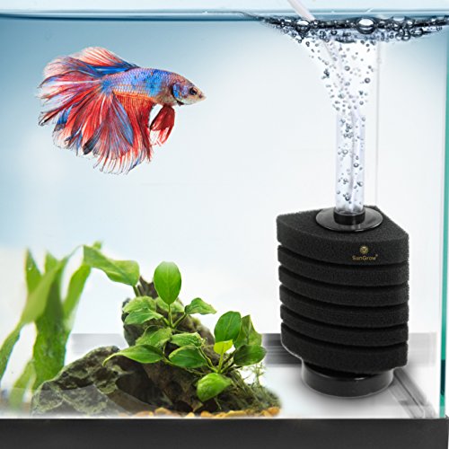 Making the beta a better home.