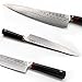 TUO Damascus Chef’s Kitchen Knife 9.5 inch - Japanese AUS-10 HC Steel - Dishwasher Safe G10 Handle - Full Tang - RING-D