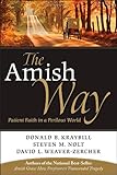 The Amish Way: Patient Faith in a Perilous World, Donald B. Kraybill, Steven M. Nolt, David L. Weaver-Zercher, 0470520698