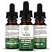 Hyaluronic Acid Wrinkle Serum, Vitamin C Serum for Face with Hyaluronic Acid, Retinol Serum for Face for Skin Elasticity, Fine Lines, and Dark Spots, Wrinkle Serum, 60-Day Supply TreeActiv
