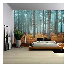 wall26 - Beautiful Dreamlike Forest in Autumn Time - Wall Mural, Removable Sticker, Home Decor - 100x144 inches 51ndrHEwbdL